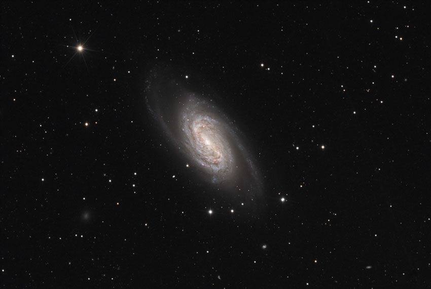 ngc2903