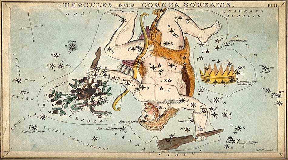 constellation Hercule