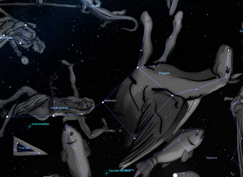 constellation Pégase