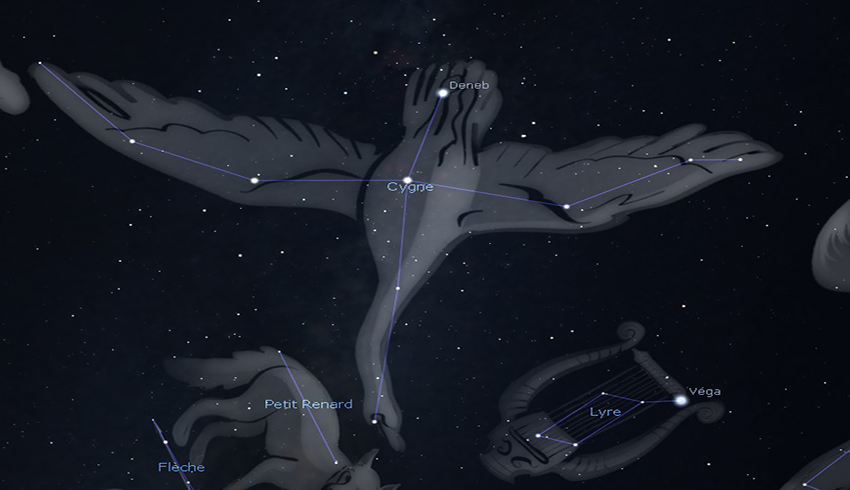 comment repérer la constellation du cygne