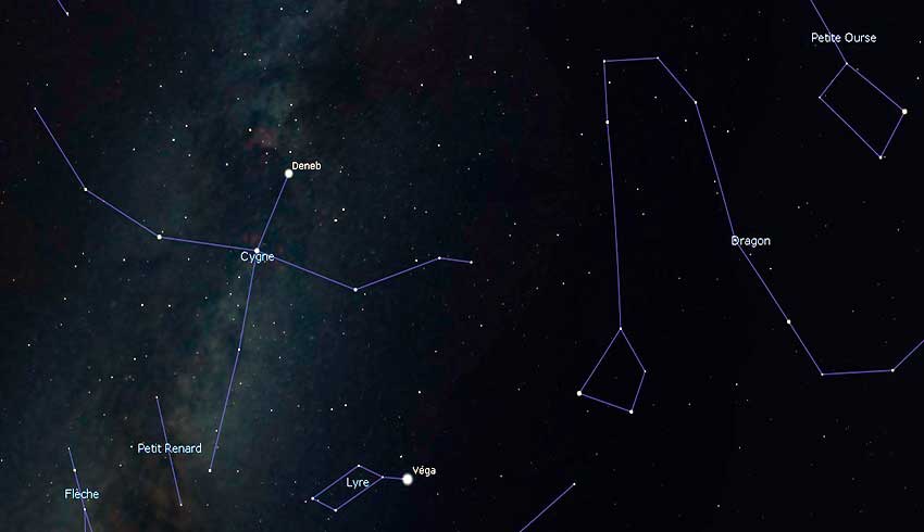 constellation du cygne