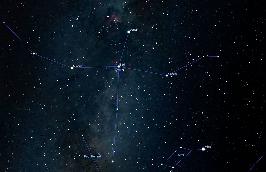 constellationdu Cygne