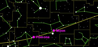 pomona
